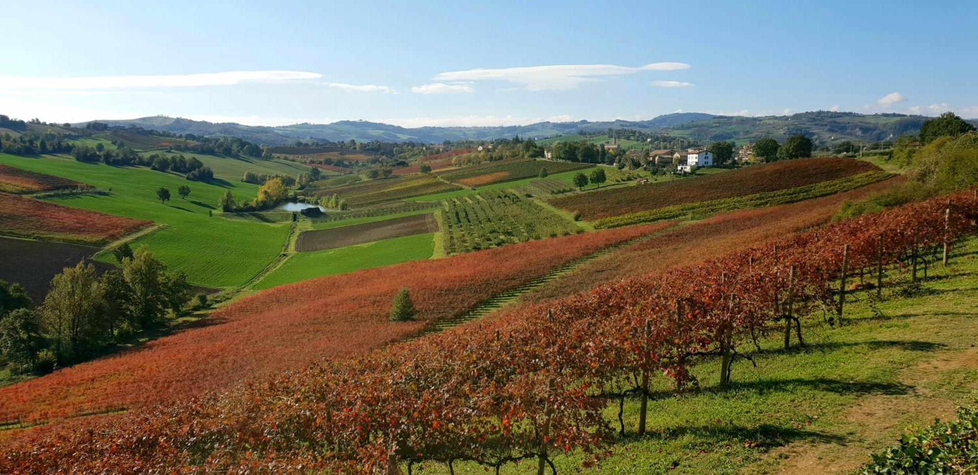 Agriturismo Opera 02 Кастельветро-ди-Модена Экстерьер фото